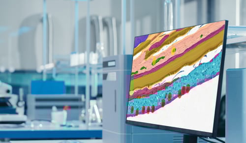 Nofima case study: AI-driven histological analysis of fish skin