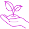 ic_growth_pink